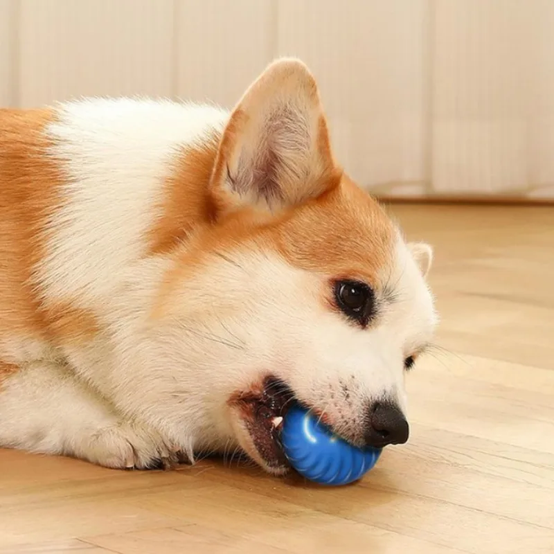 Bola Mainan Anjing Otomatis ya - Automatic Moving Dog Ball ulasan dan harga