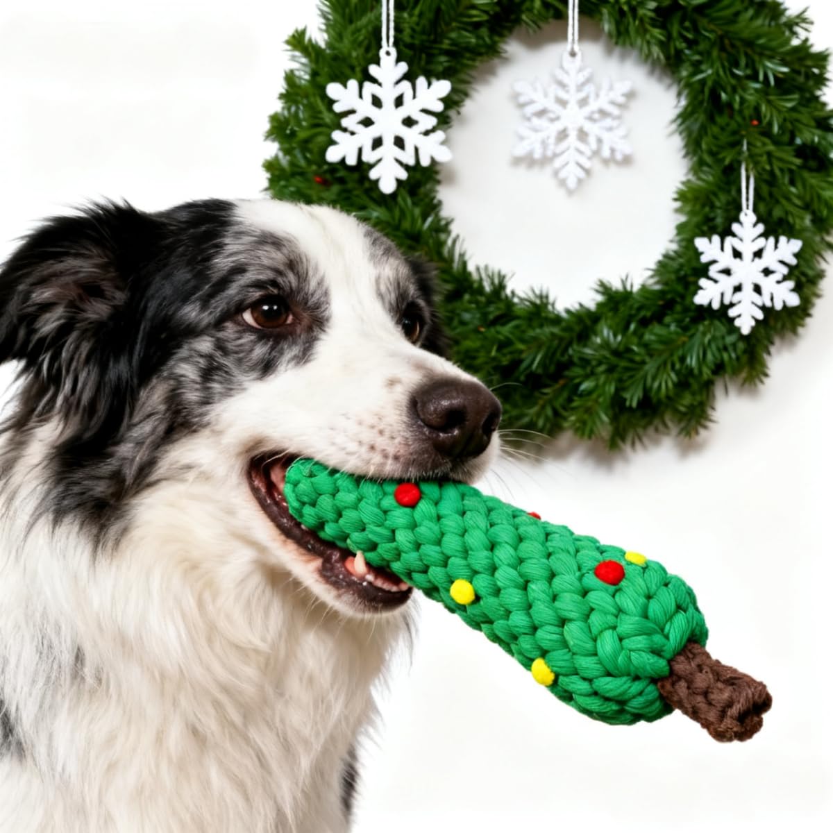 Mainan Kunyah Anjing dari Tali - Teeth Cleaning Dog Chew Bone ulasan dan harga