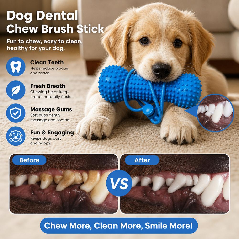 Tongkat Kunyah Gigi Anjing, Be - Teeth Cleaning Dog Chew Bone ulasan dan harga