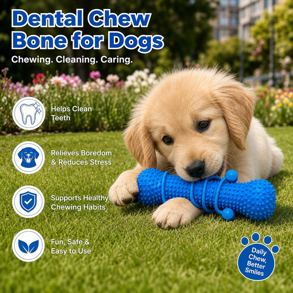 Tongkat Kunyah Gigi Anjing, Be - Teeth Cleaning Dog Chew Bone ulasan dan harga