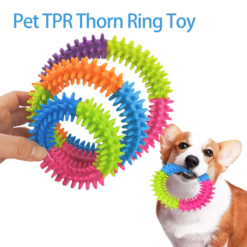 Mainan Anjing Lucu, Cakram Ter - Flying Disc Dog Training Toy ulasan dan harga