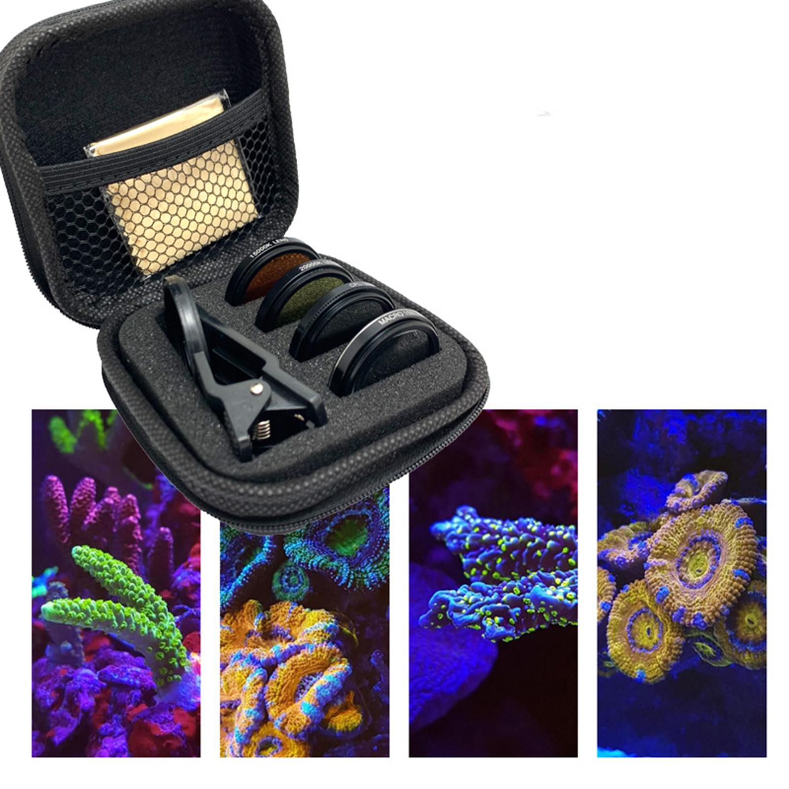 Kit Fotografi Terumbu Karang d - Aquarium ulasan dan harga