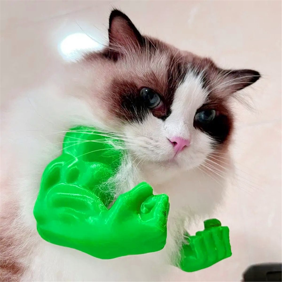 Liontin Lengan Kucing dengan O - Cat Toys ulasan dan harga
