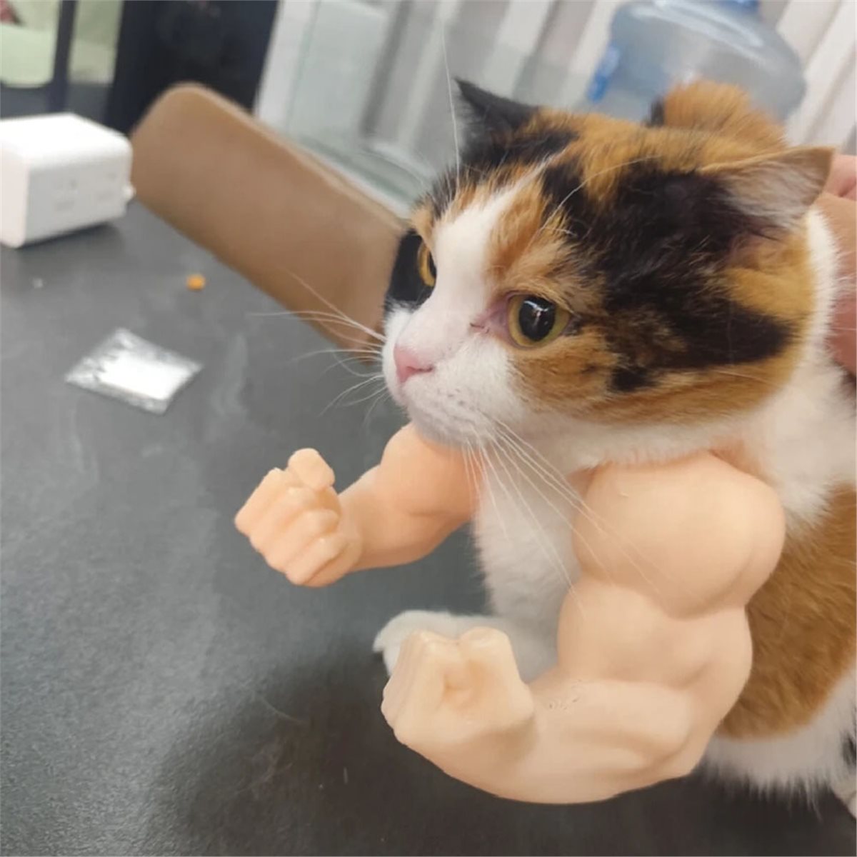 Liontin Lengan Kucing dengan O - Cat Toys ulasan dan harga