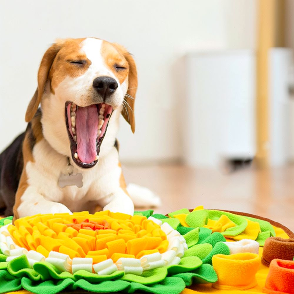 Alas Snuffle Anjing Desain Tul - Dog Puzzle Feeder Toy ulasan dan harga
