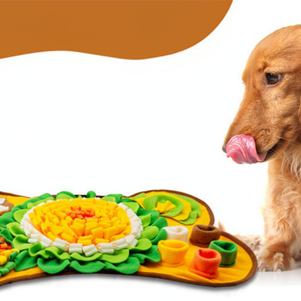 Alas Snuffle Anjing Desain Tul - Dog Puzzle Feeder Toy ulasan dan harga